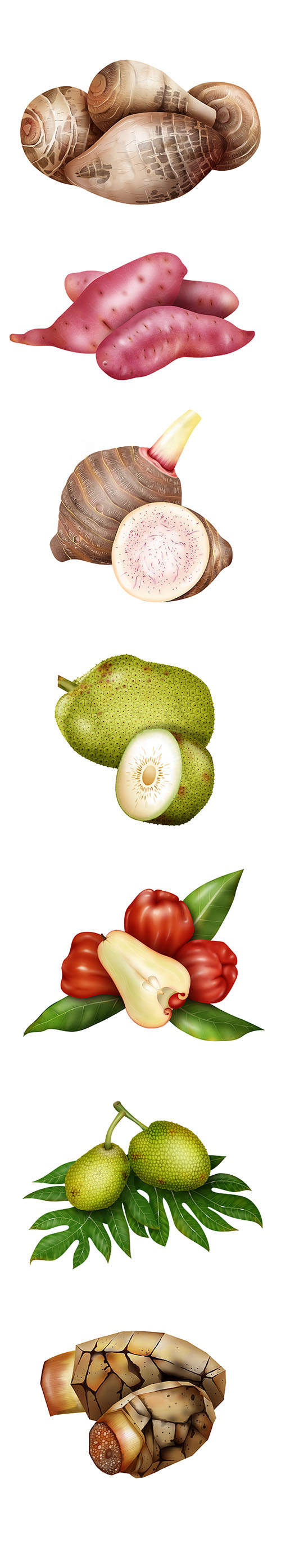 Tropical fruits