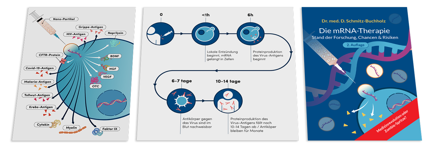 Die mRNA-Therapie. Stand der Forschung, Chancen & Risken